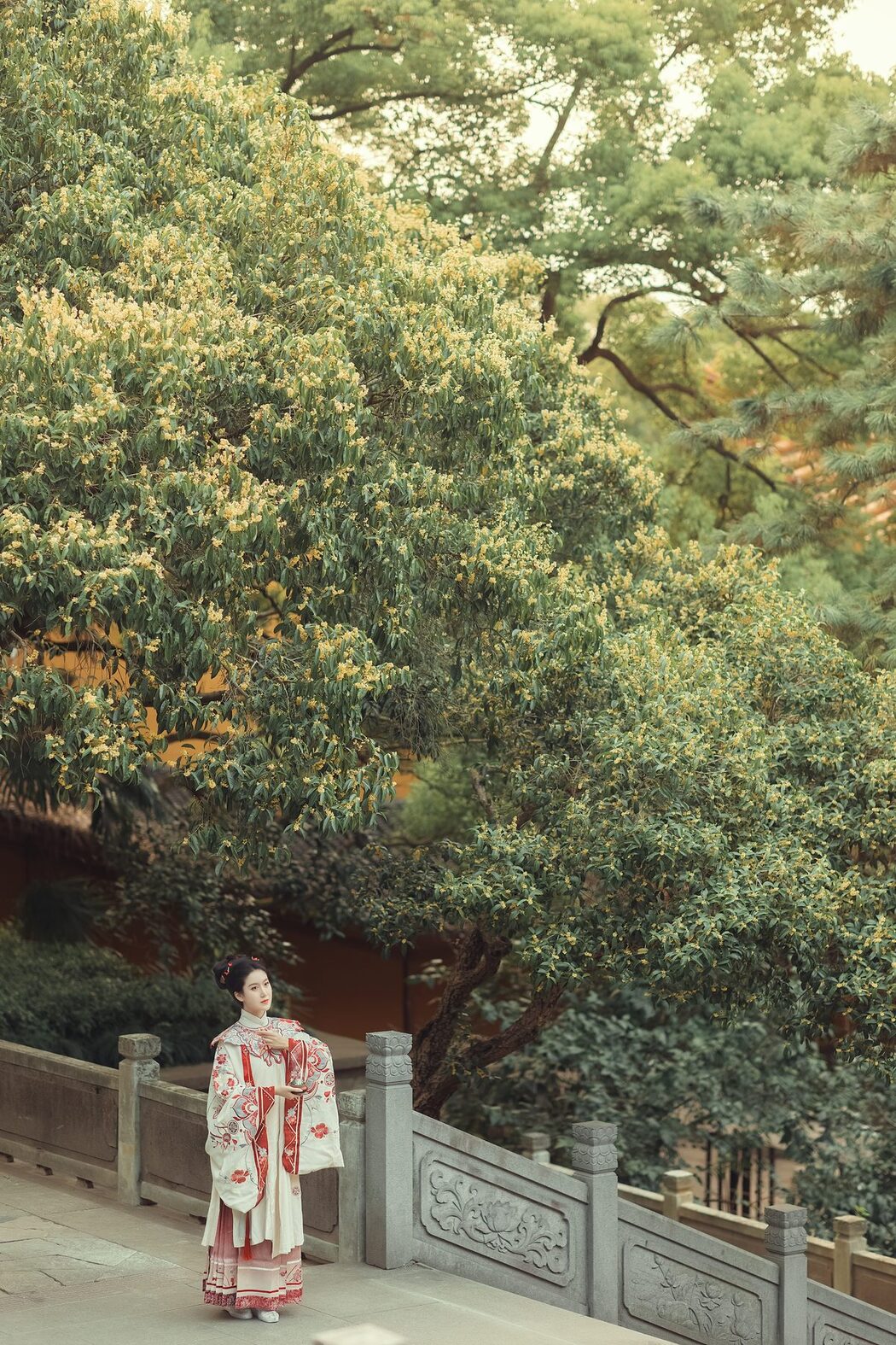 YiTuYu艺图语 Vol.3463 Gan Le Miao Miao Miao