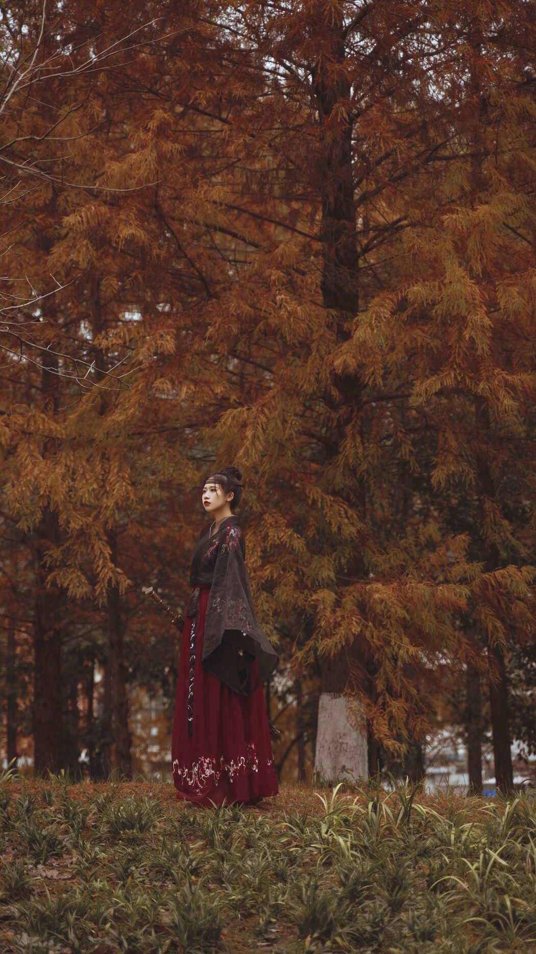 YiTuYu艺图语 Vol.3402 Wang Wang Xiao Xiao Shu