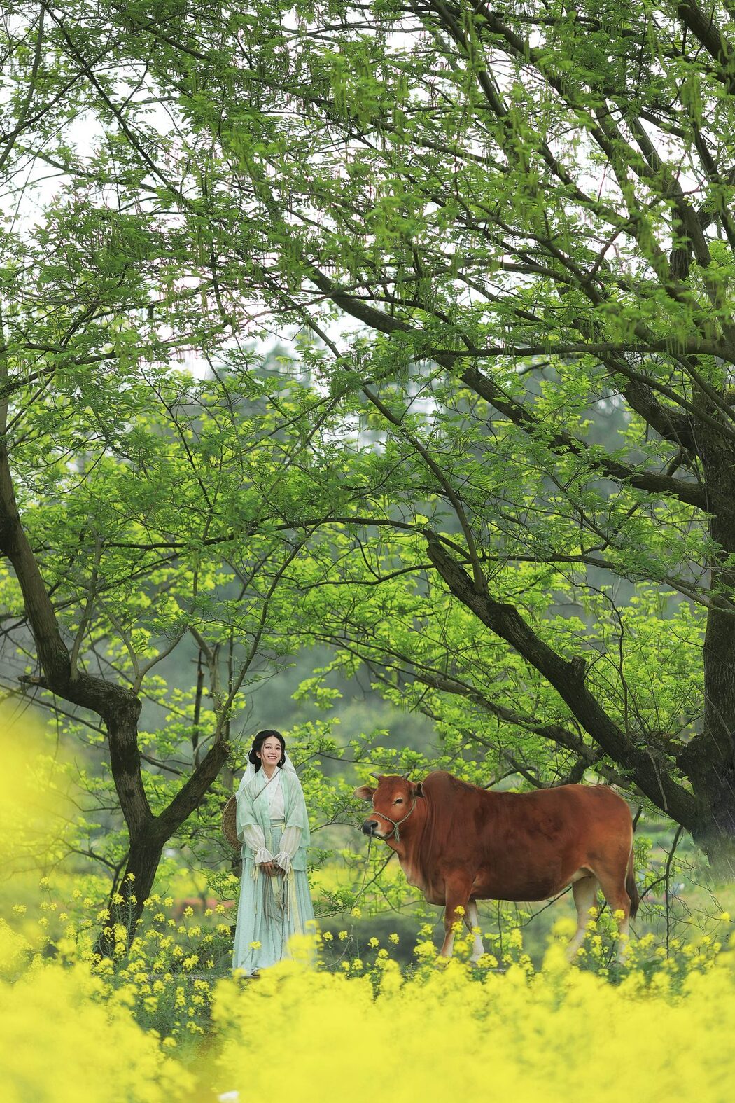 YiTuYu艺图语 Vol.3659 Xiao Qing Han Ya
