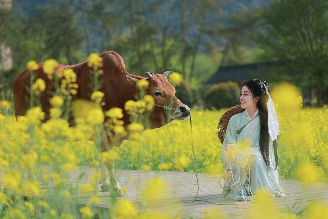 YiTuYu艺图语 Vol.3659 Xiao Qing Han Ya