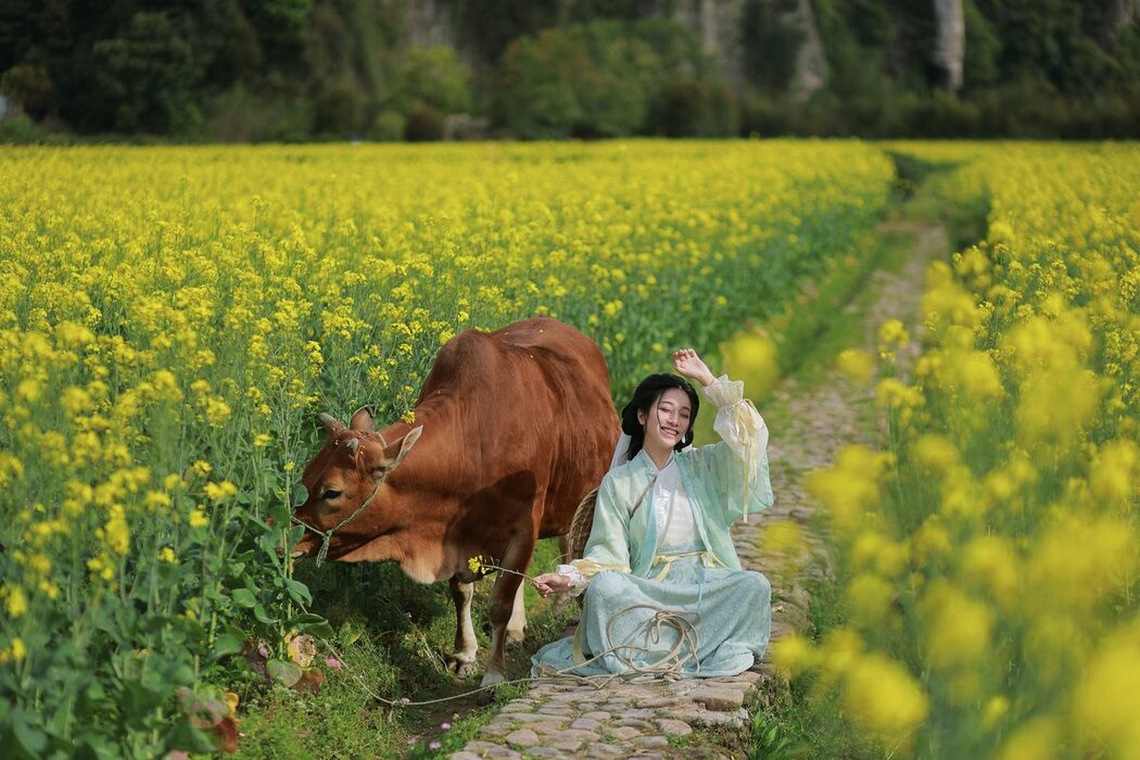 YiTuYu艺图语 Vol.3659 Xiao Qing Han Ya
