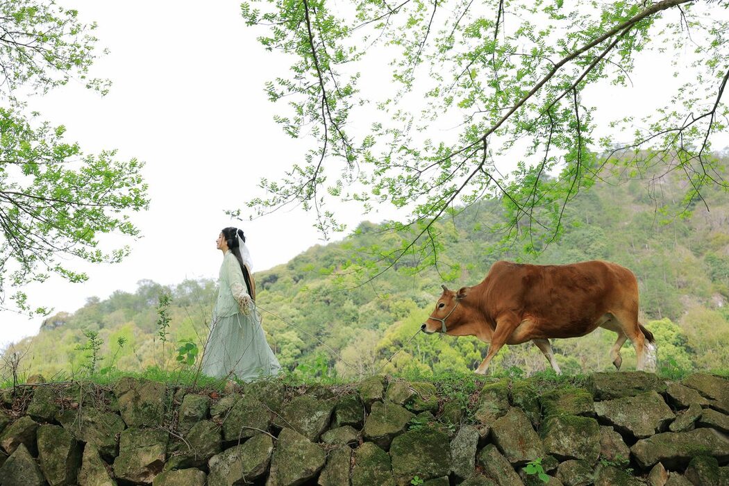 YiTuYu艺图语 Vol.3659 Xiao Qing Han Ya