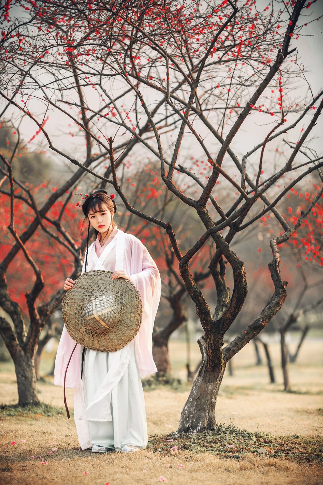 YiTuYu艺图语 Vol.364 Fan Da Er