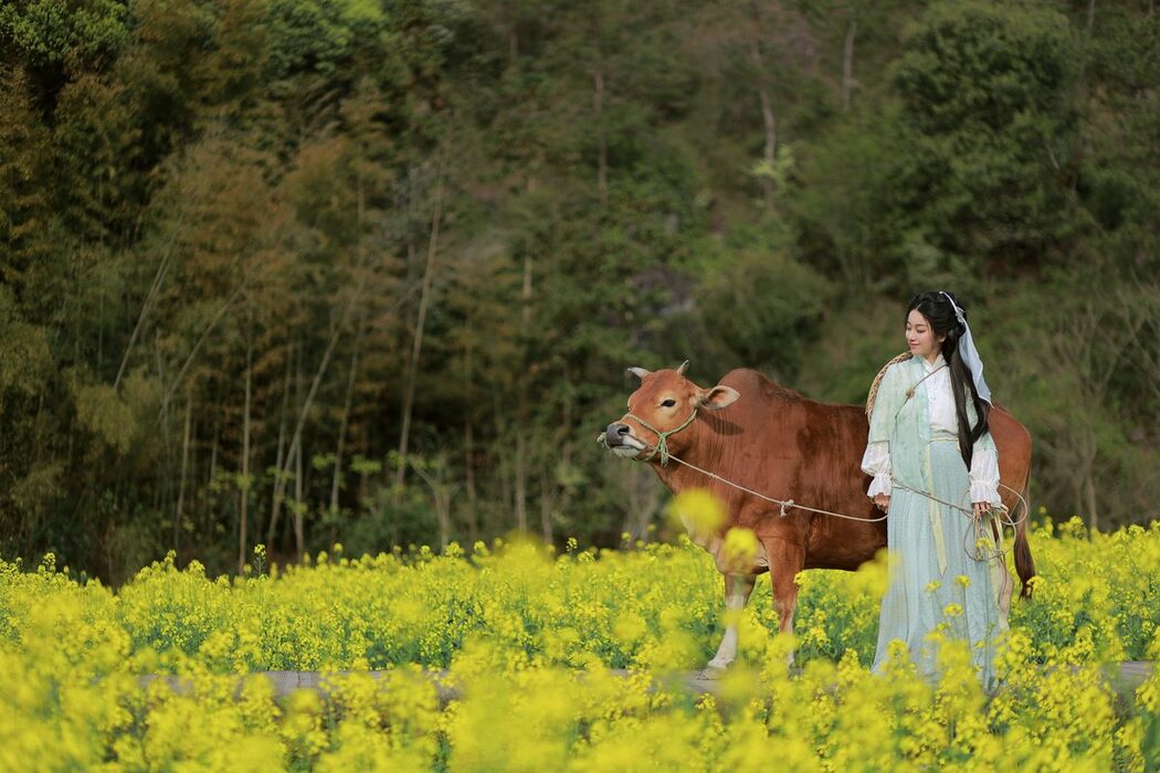 YiTuYu艺图语 Vol.3659 Xiao Qing Han Ya