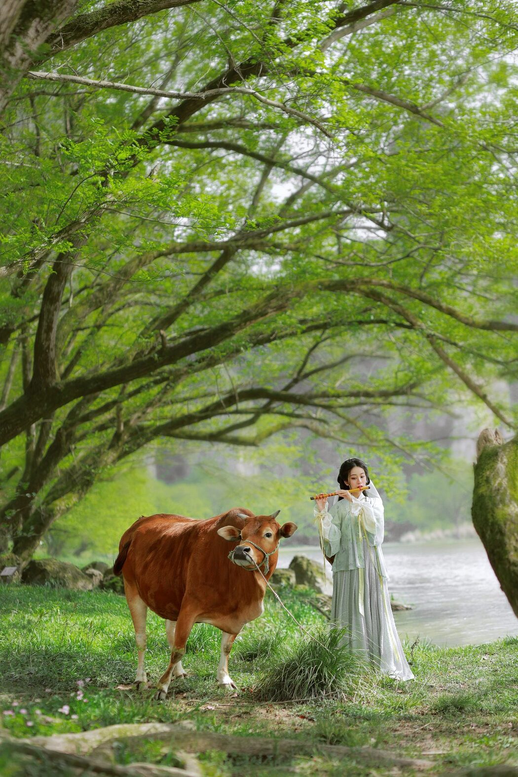 YiTuYu艺图语 Vol.3659 Xiao Qing Han Ya