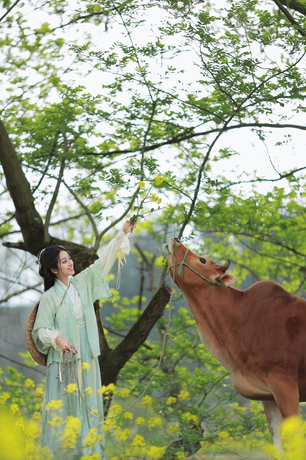 YiTuYu艺图语 Vol.3659 Xiao Qing Han Ya