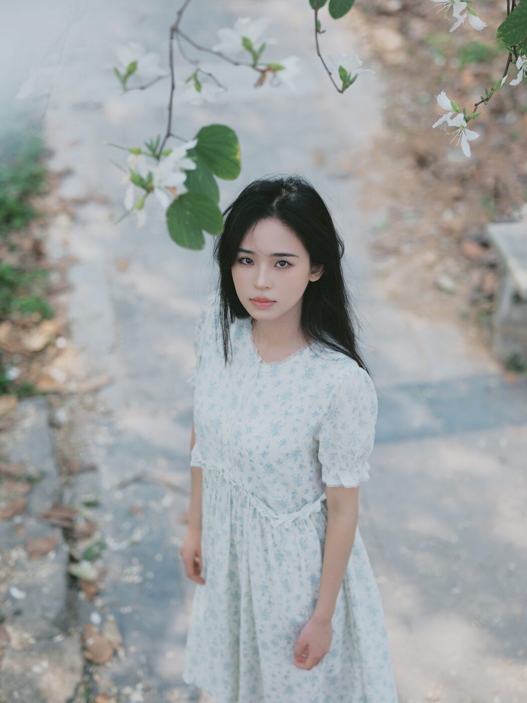 YiTuYu艺图语 Vol.3818 Cheng Zi
