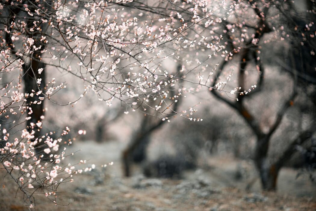 YiTuYu艺图语 Vol.3801 Huan Huan