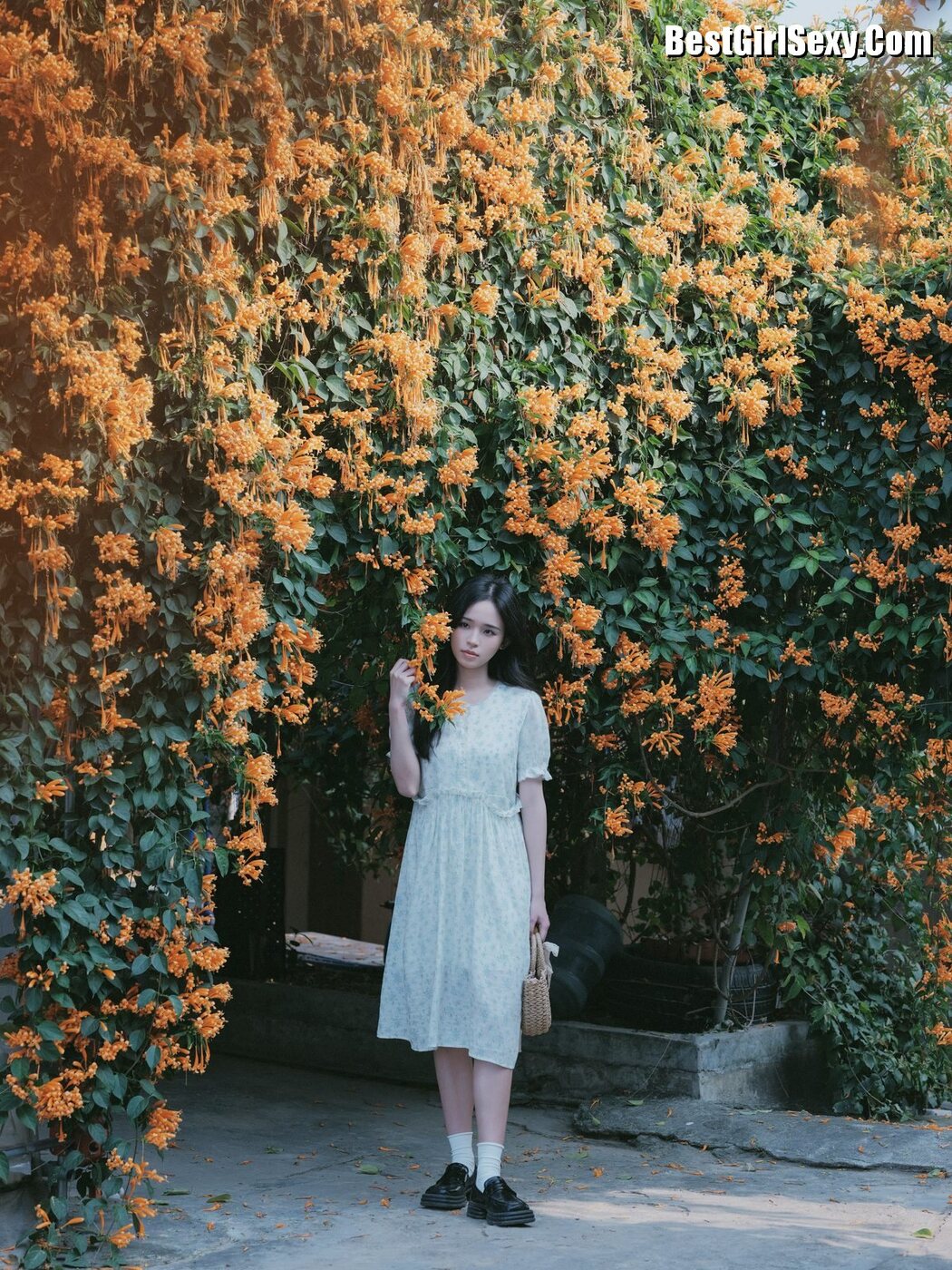 YiTuYu艺图语 Vol.3818 Cheng Zi