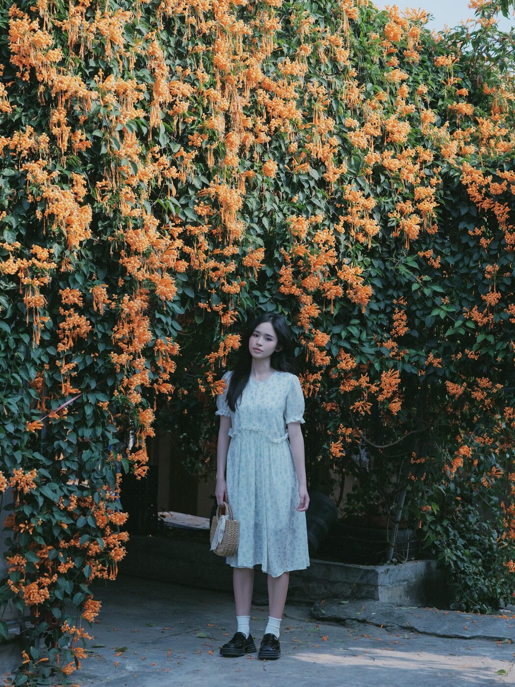 YiTuYu艺图语 Vol.3818 Cheng Zi