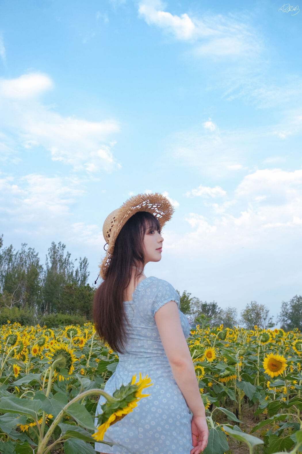 Coser@皮皮奶可可爱了啦 – 彼女向日葵