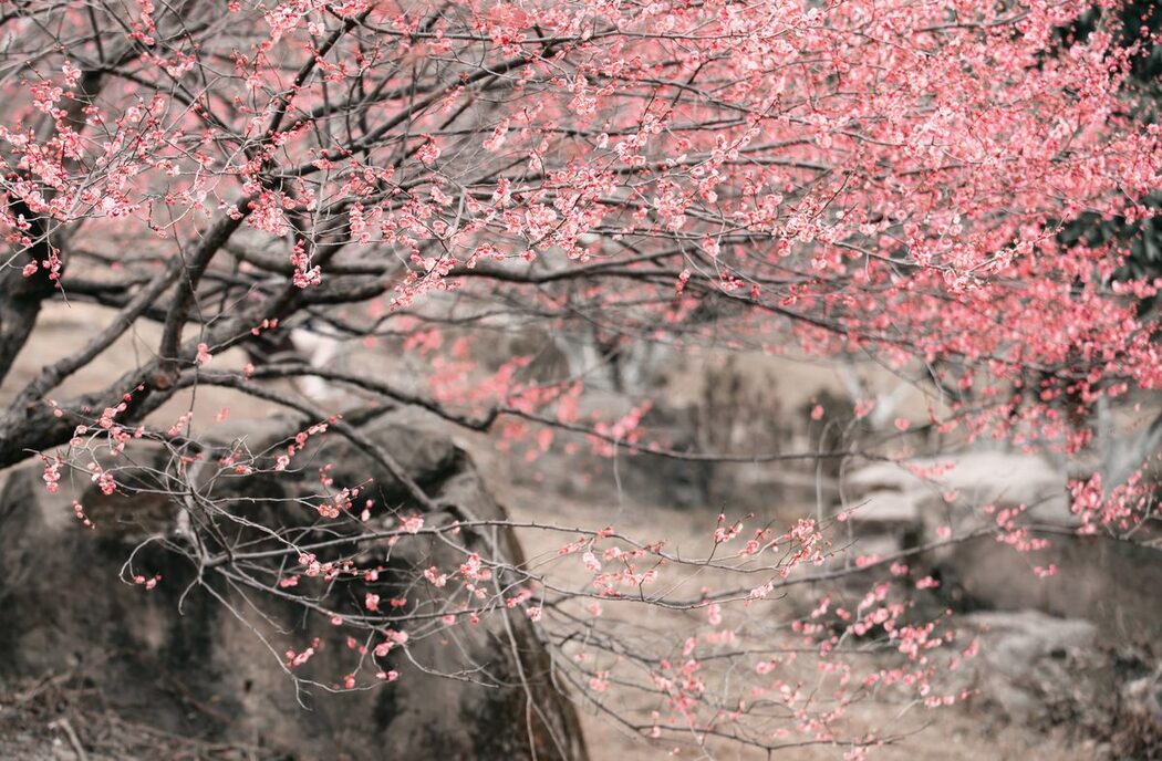 YiTuYu艺图语 Vol.3738 Yan Ru Yu