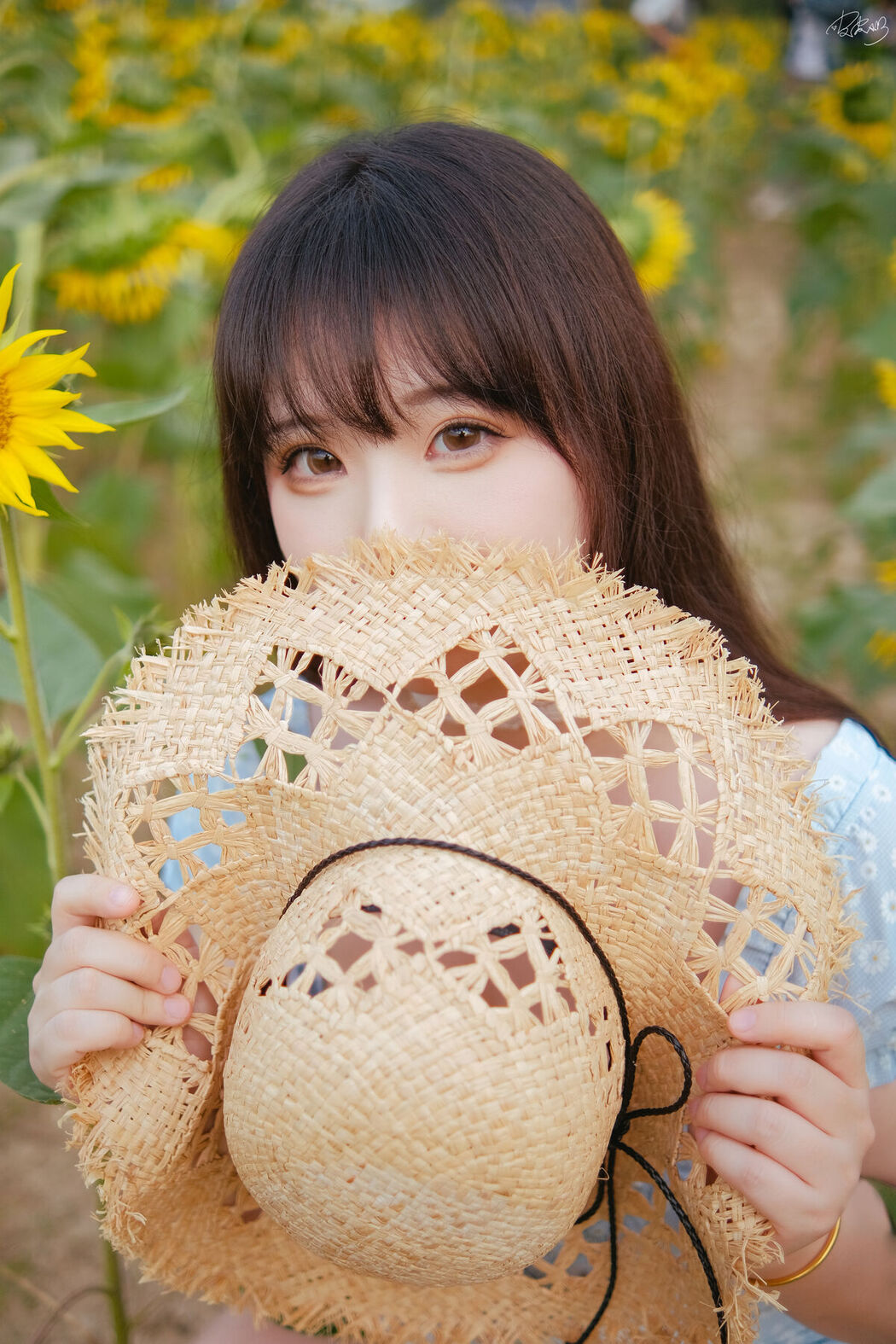 Coser@皮皮奶可可爱了啦 – 彼女向日葵