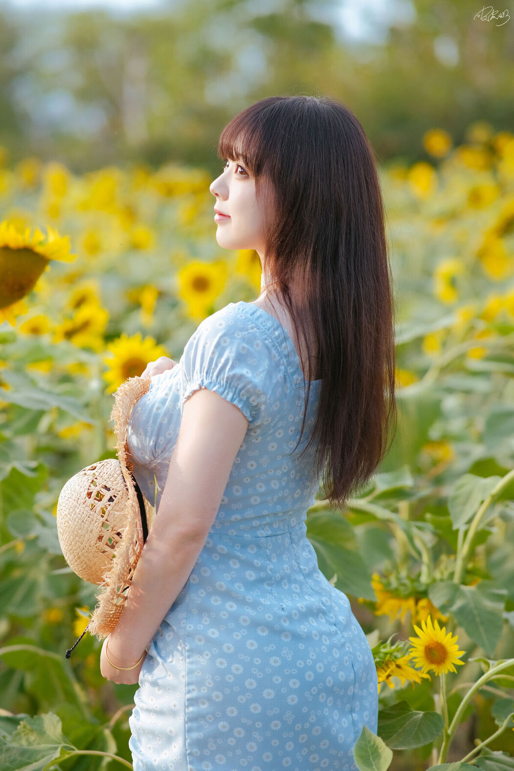 Coser@皮皮奶可可爱了啦 – 彼女向日葵