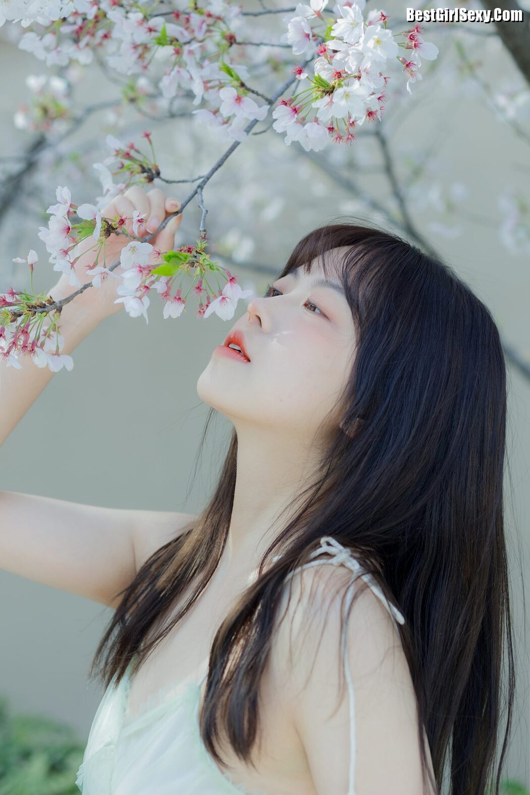 YiTuYu艺图语 Vol.4075 Ha Ji Ma Hua