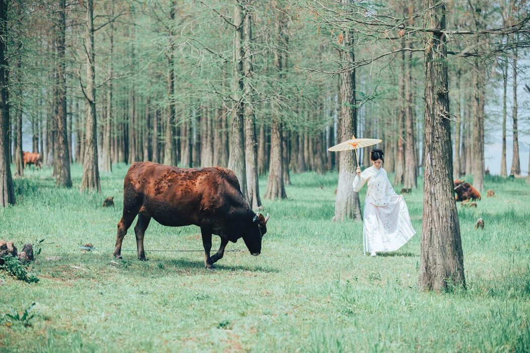 YiTuYu艺图语 Vol.4166 An Di