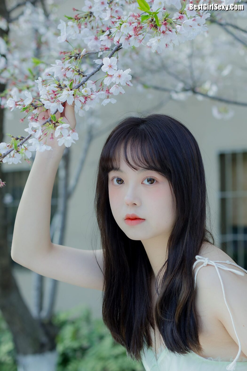 YiTuYu艺图语 Vol.4075 Ha Ji Ma Hua