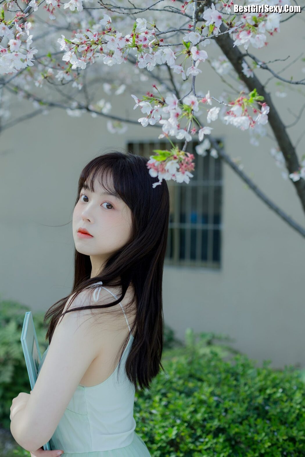 YiTuYu艺图语 Vol.4075 Ha Ji Ma Hua