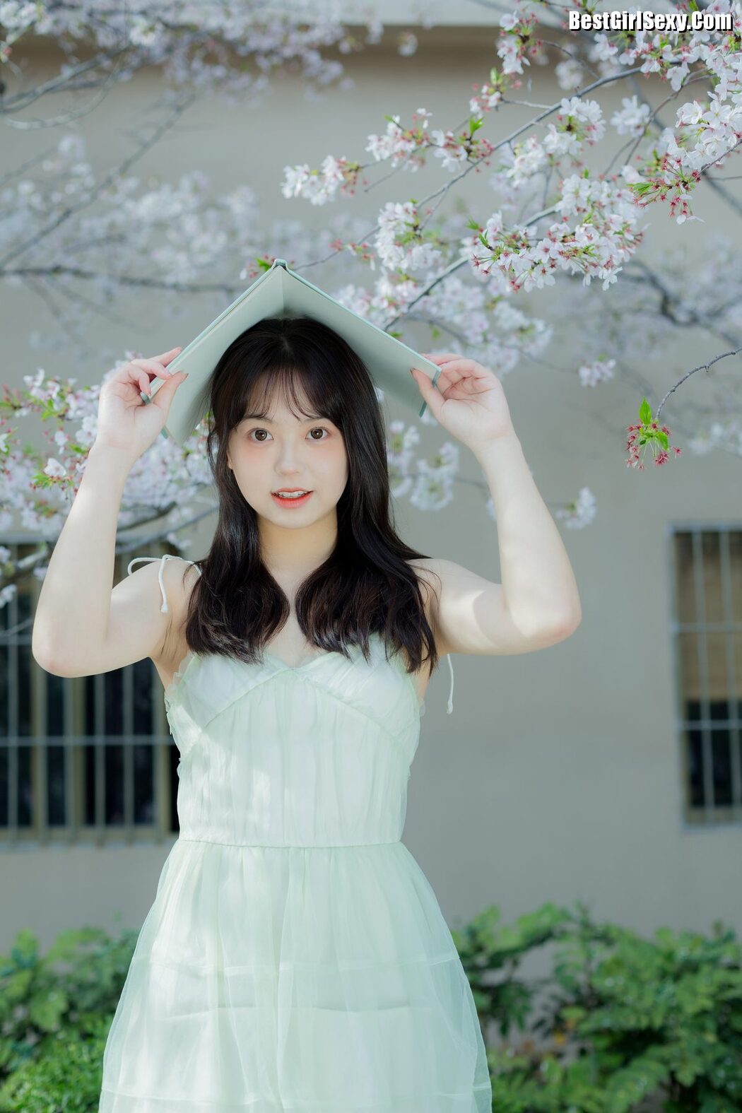 YiTuYu艺图语 Vol.4075 Ha Ji Ma Hua