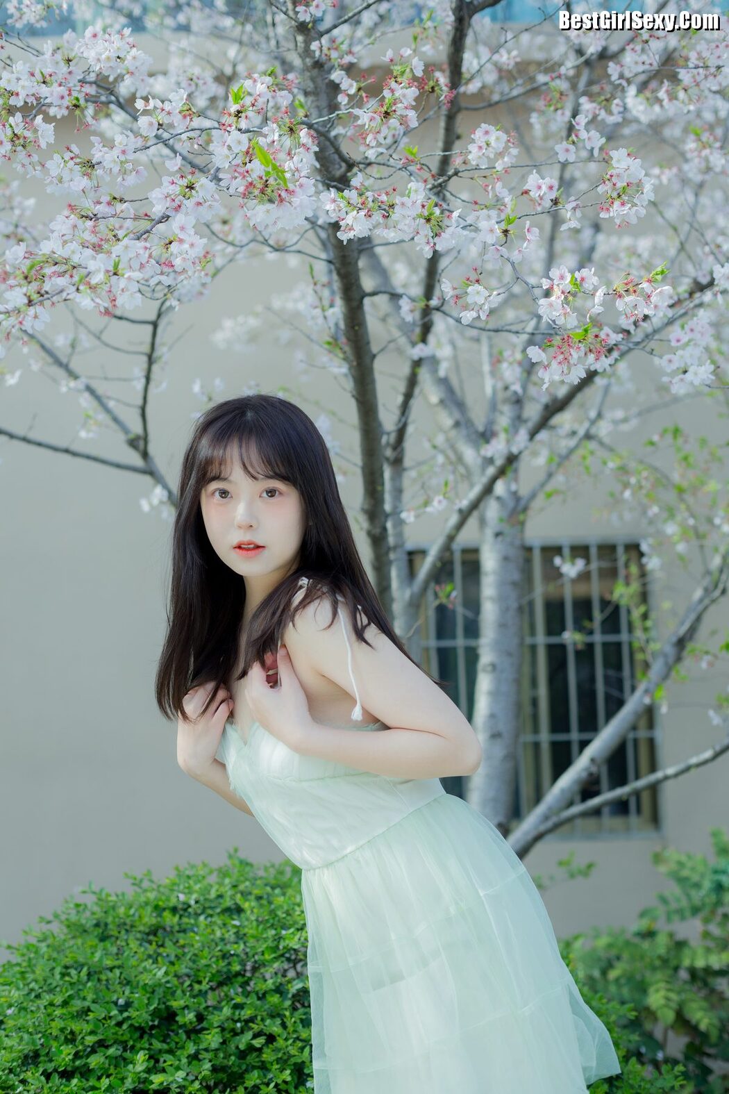YiTuYu艺图语 Vol.4075 Ha Ji Ma Hua