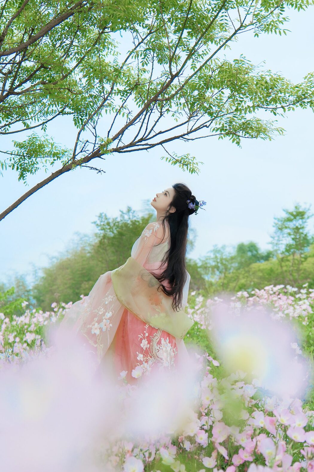 YiTuYu艺图语 Vol.4267 Lan Yin Shu Zhuang Ji