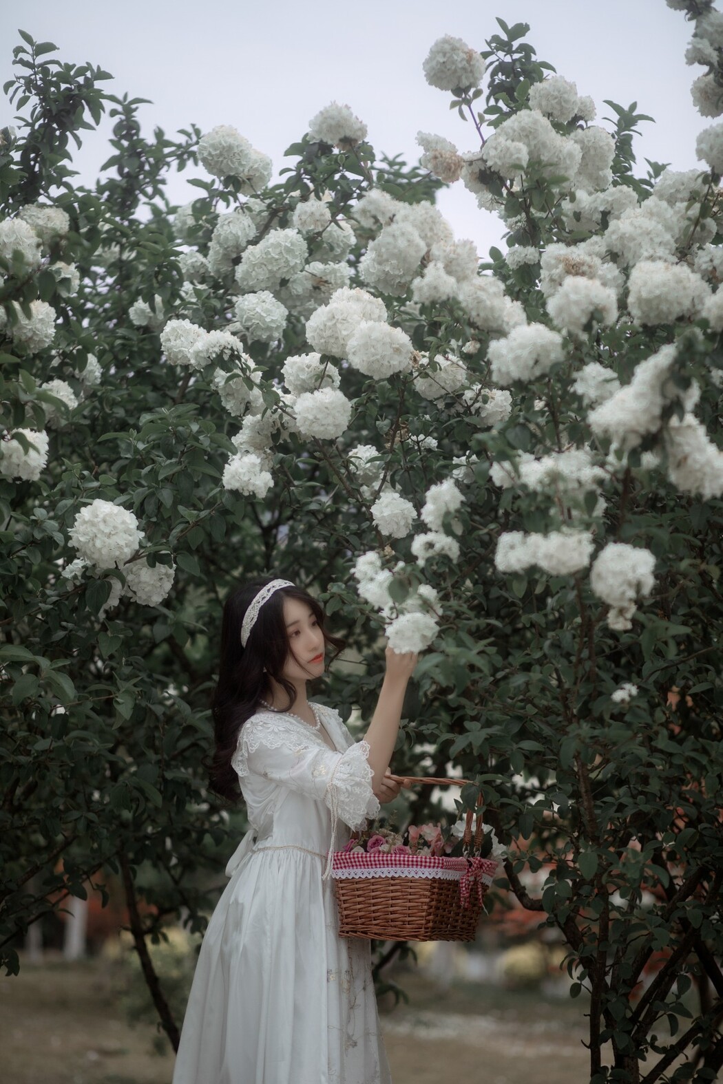 YiTuYu艺图语 Vol.430 Xiao Qing Han