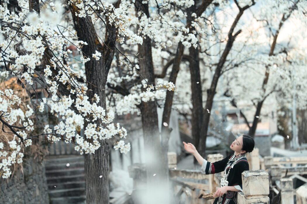 YiTuYu艺图语 Vol.4201 Wei Wei
