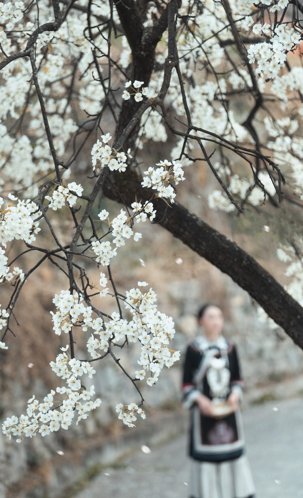 YiTuYu艺图语 Vol.4201 Wei Wei