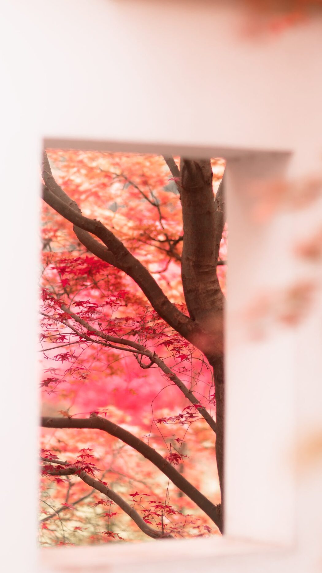 YiTuYu艺图语 Vol.4189 Su Su