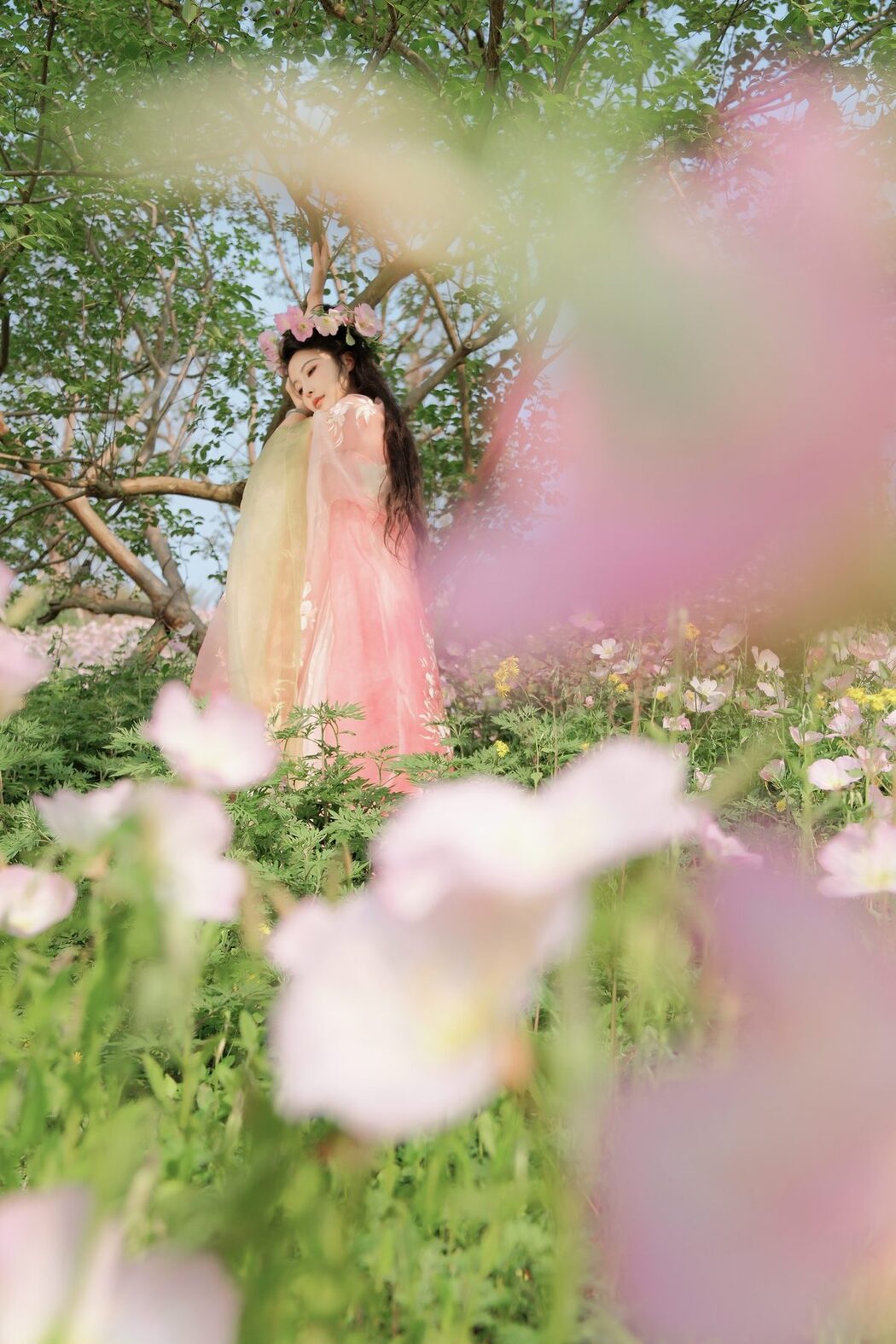 YiTuYu艺图语 Vol.4267 Lan Yin Shu Zhuang Ji