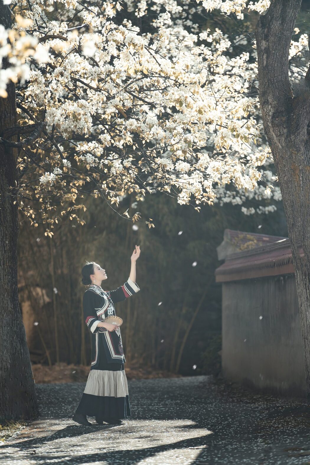 YiTuYu艺图语 Vol.4201 Wei Wei