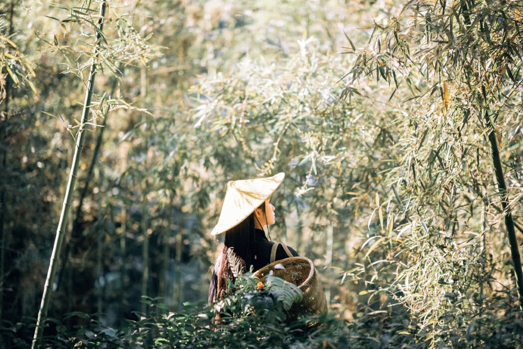 YiTuYu艺图语 Vol.426 Qi Yu