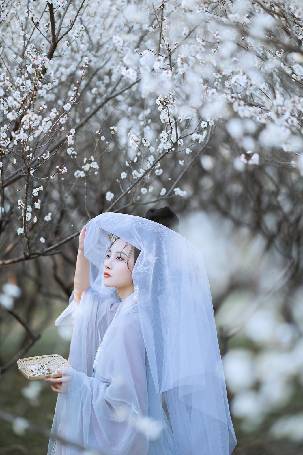 YiTuYu艺图语 Vol.4314 Shen Yun Liao