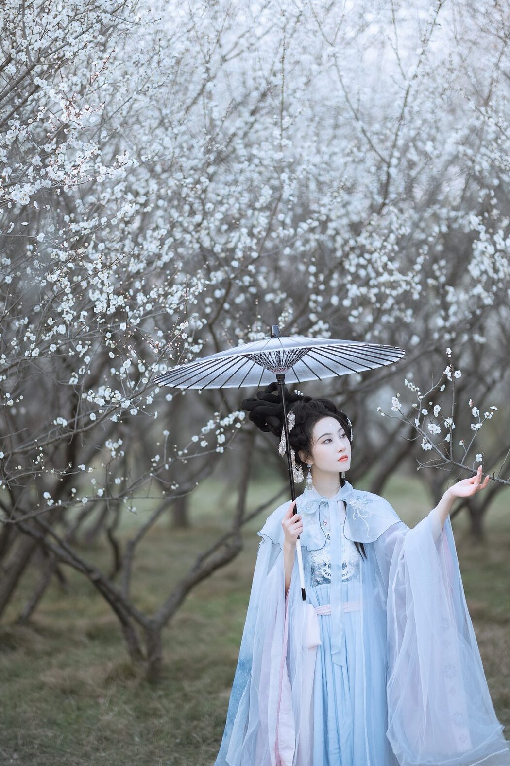 YiTuYu艺图语 Vol.4314 Shen Yun Liao