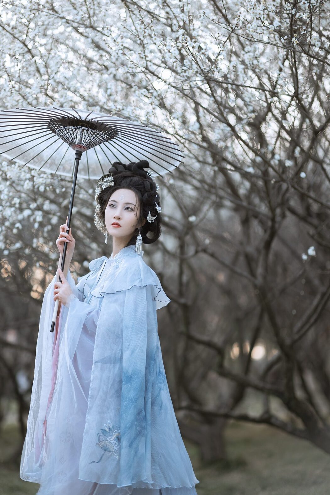 YiTuYu艺图语 Vol.4314 Shen Yun Liao