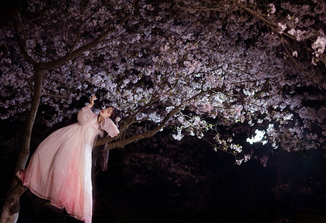 YiTuYu艺图语 Vol.443 Shen Shang