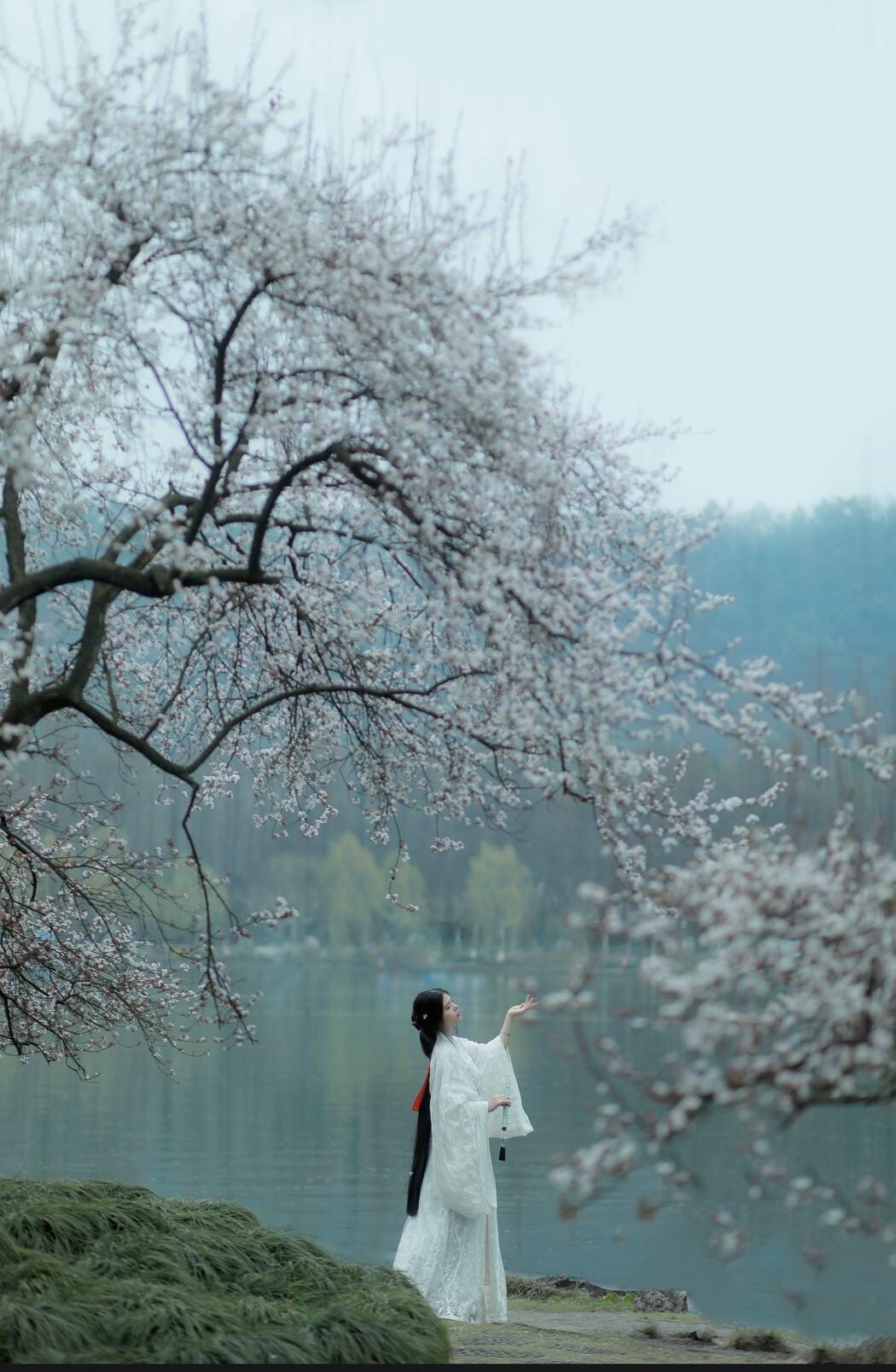 YiTuYu艺图语 Vol.454 Wan Wan