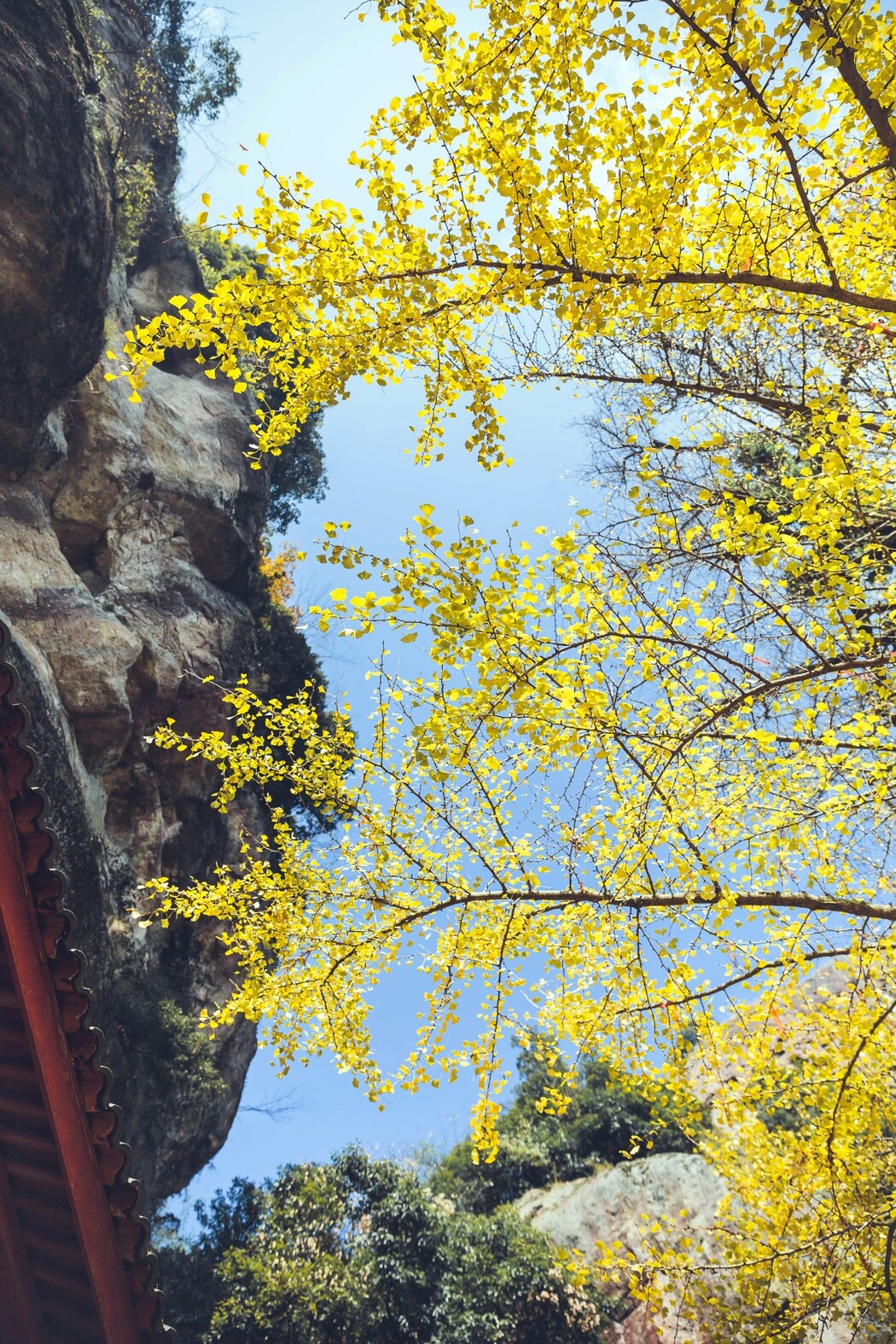 YiTuYu艺图语 Vol.473 Mao Ya Qi