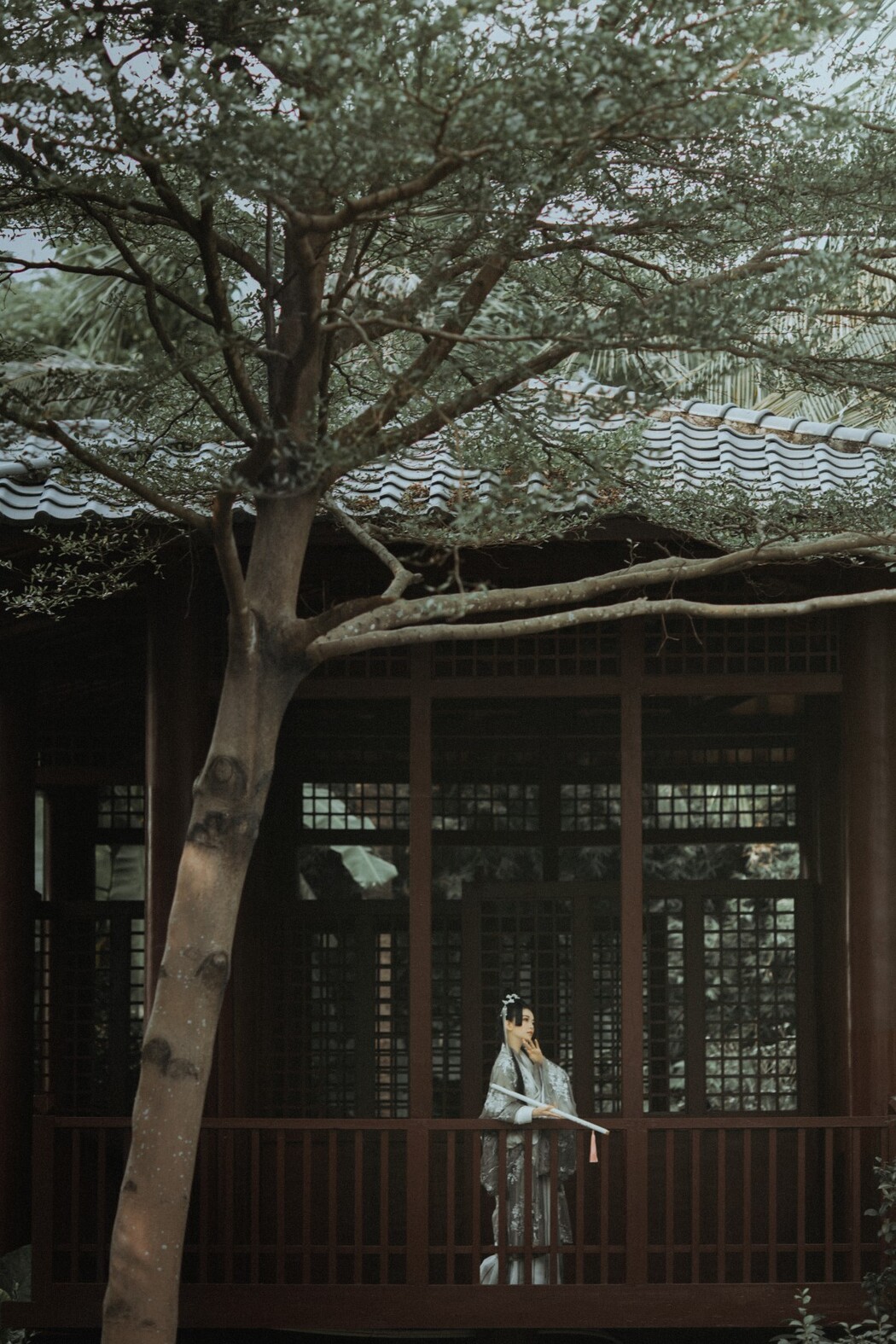 YiTuYu艺图语 Vol.453 Hang Zi