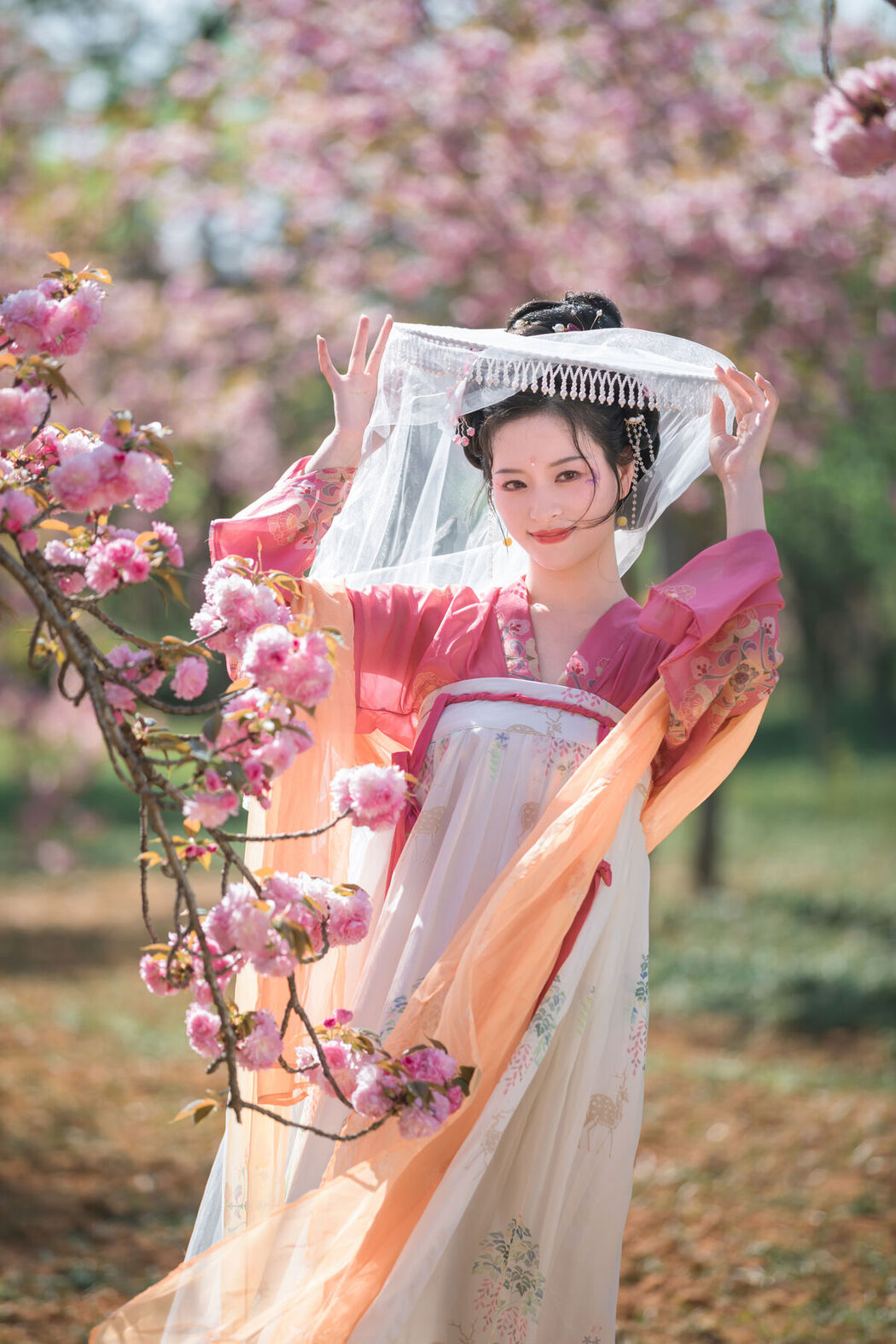 YiTuYu艺图语 Vol.6816 Yang Yang