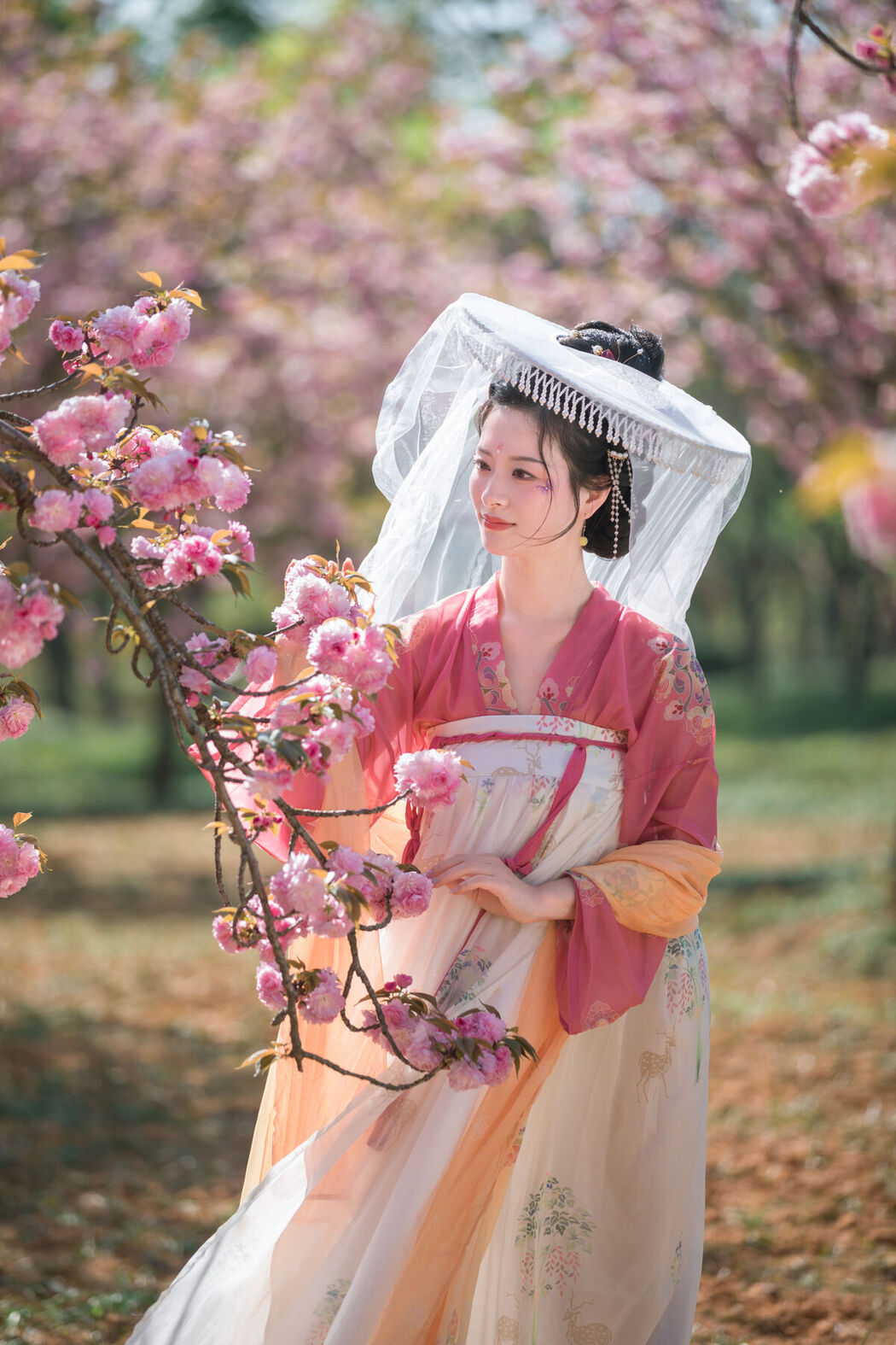YiTuYu艺图语 Vol.6816 Yang Yang