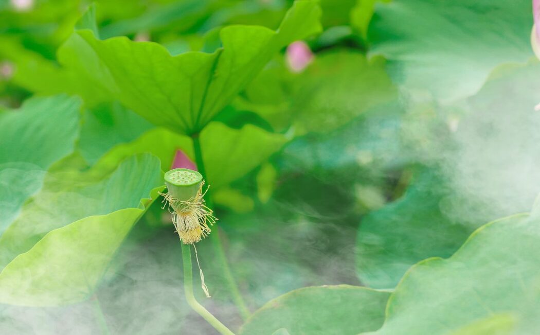 YiTuYu艺图语 Vol.514 Kong Di