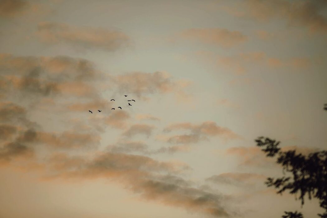 YiTuYu艺图语 Vol.490 Han Zhen