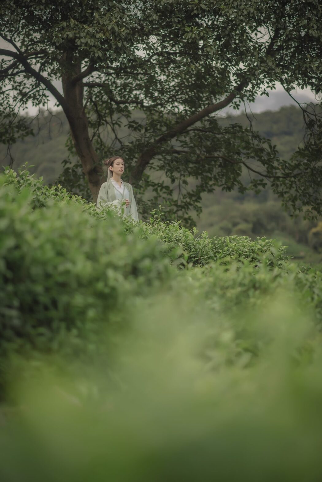 YiTuYu艺图语 Vol.511 Cao Lao Ban