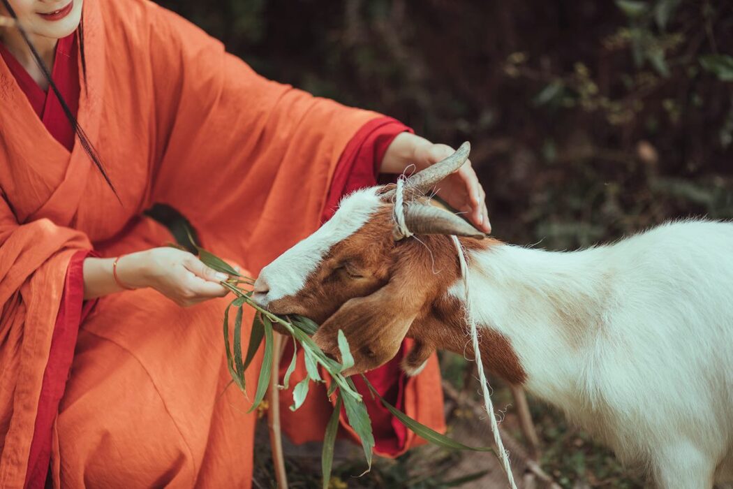 YiTuYu艺图语 Vol.510 Han Zhen