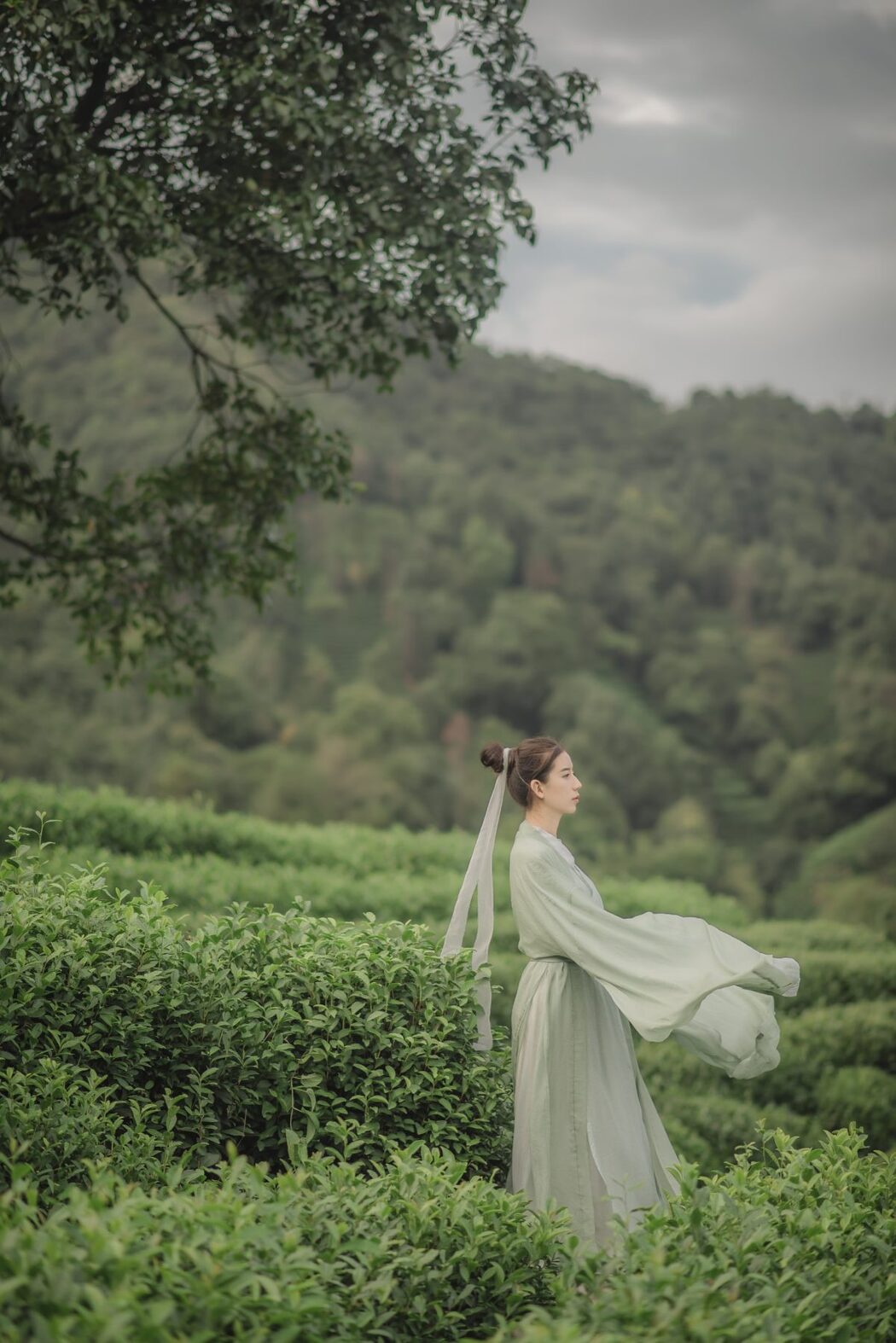 YiTuYu艺图语 Vol.511 Cao Lao Ban