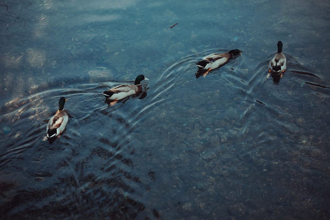 YiTuYu艺图语 Vol.488 Jing Xian