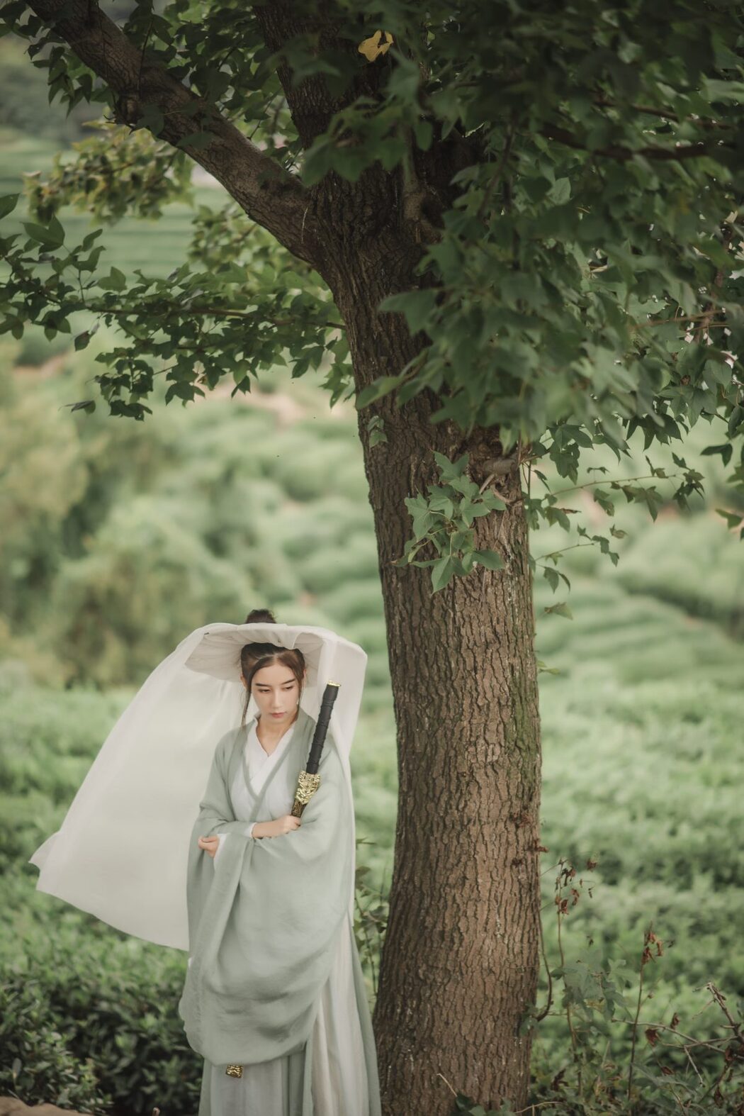 YiTuYu艺图语 Vol.511 Cao Lao Ban