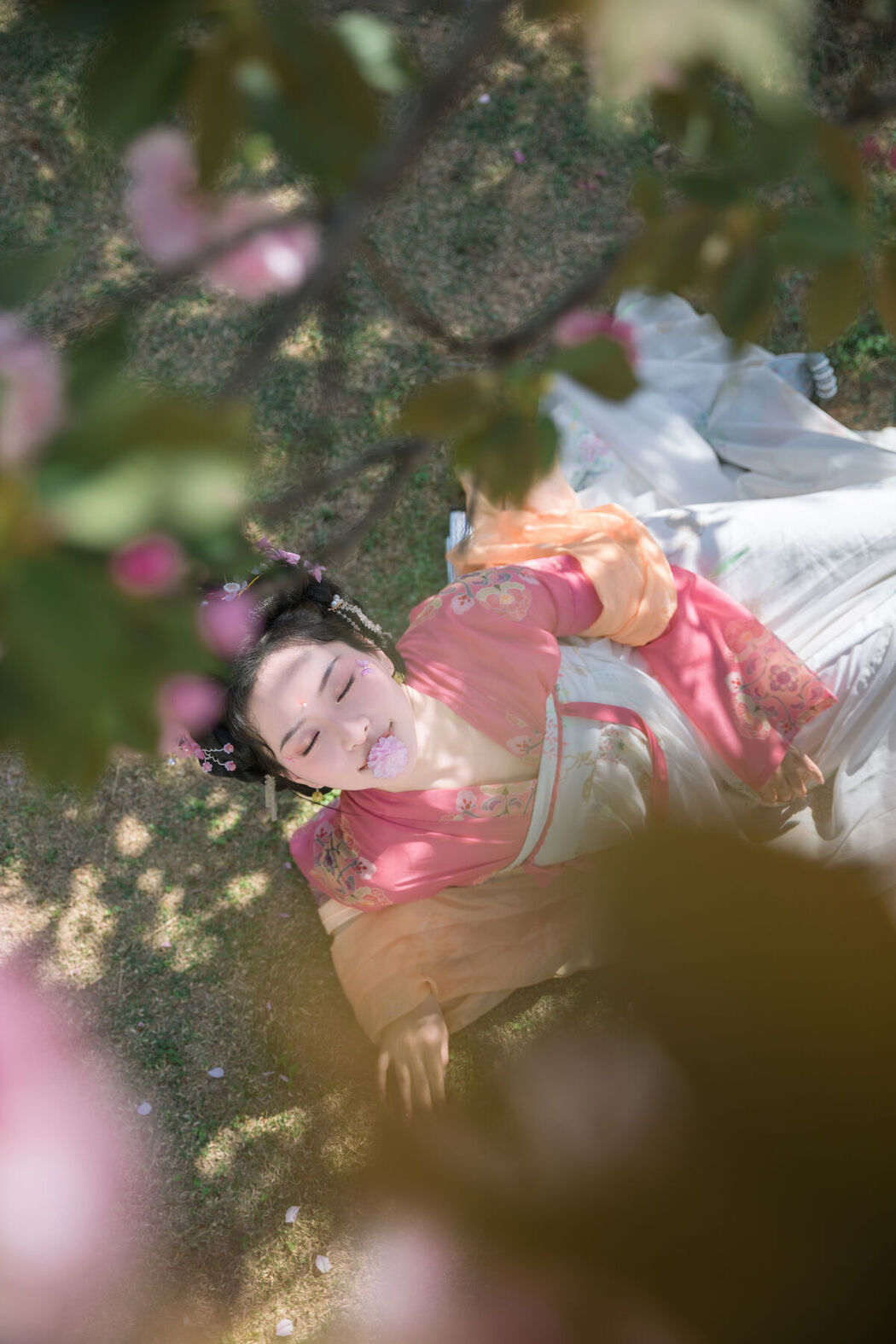 YiTuYu艺图语 Vol.6816 Yang Yang