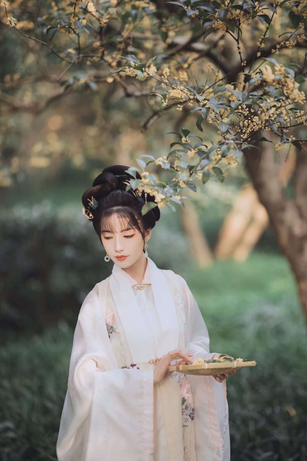 YiTuYu艺图语 Vol.557 Yi Zhi a Meng Zai